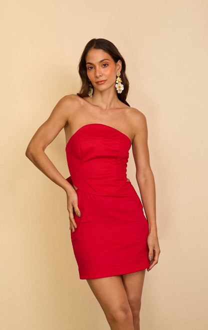 ROSE MINI DRESS
